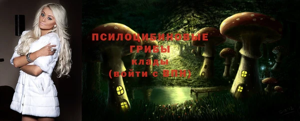 дживик Майский
