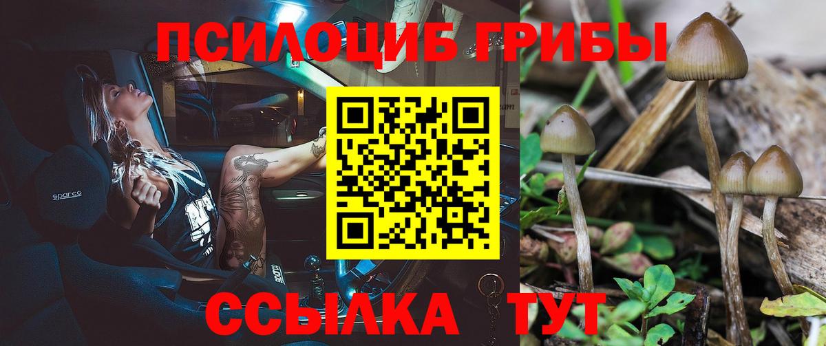 Галлюциногенные грибы Psilocybe  Вход с VPN  Обь 